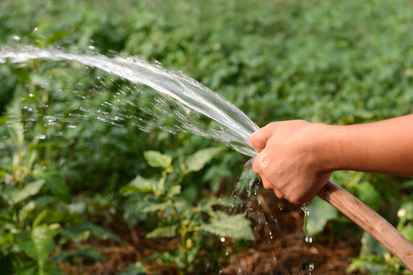 Питьевой водой запретят поливать огороды в Петропавловске