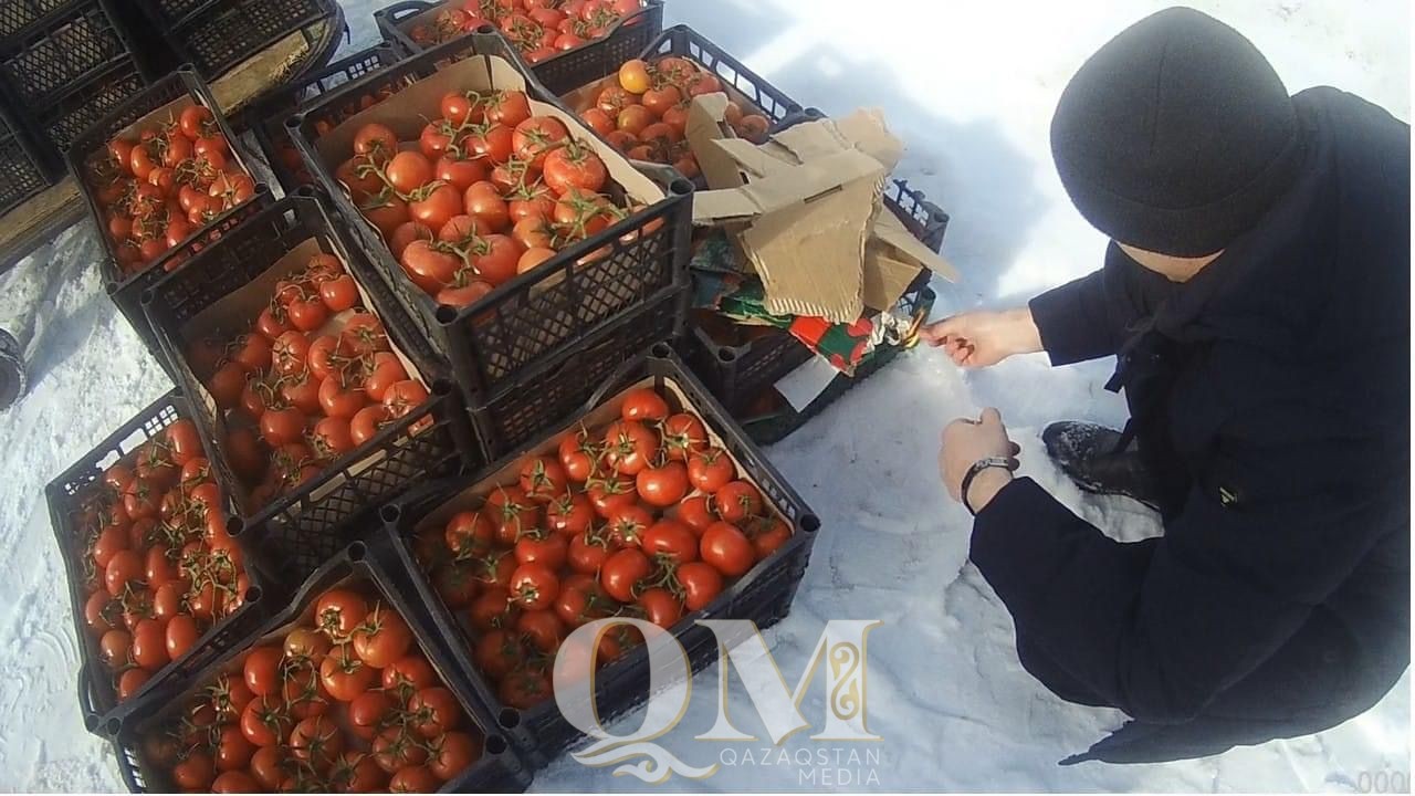 1,5 тонны помидоров уничтожили в СКО