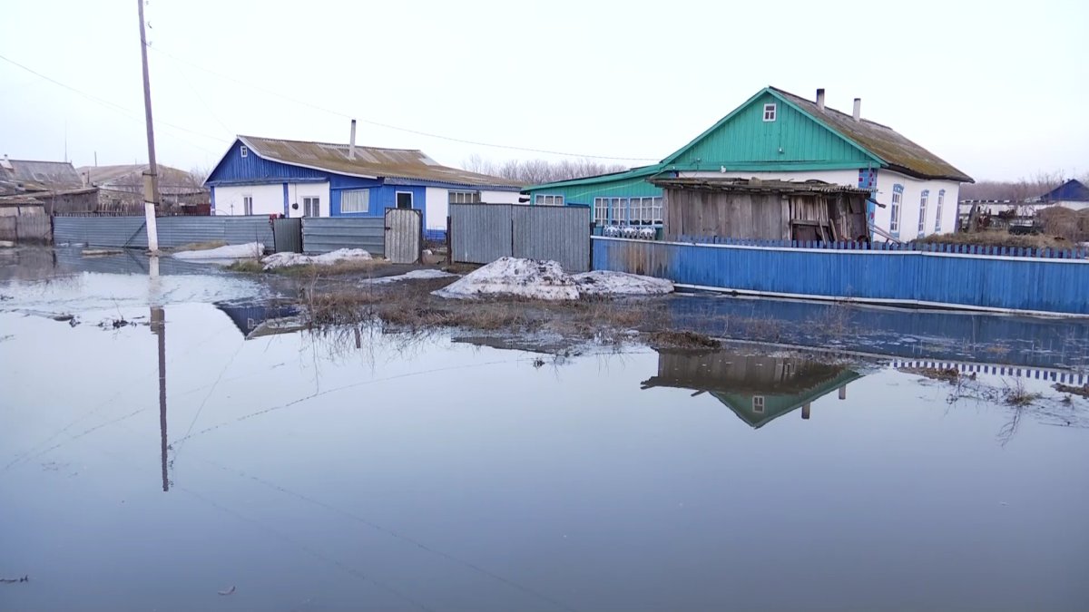 23 семьи получили соцвыплаты в Тайыншинском районе СКО