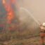 Пожароопасный сезон объявлен на территории лесного фонда в СКО