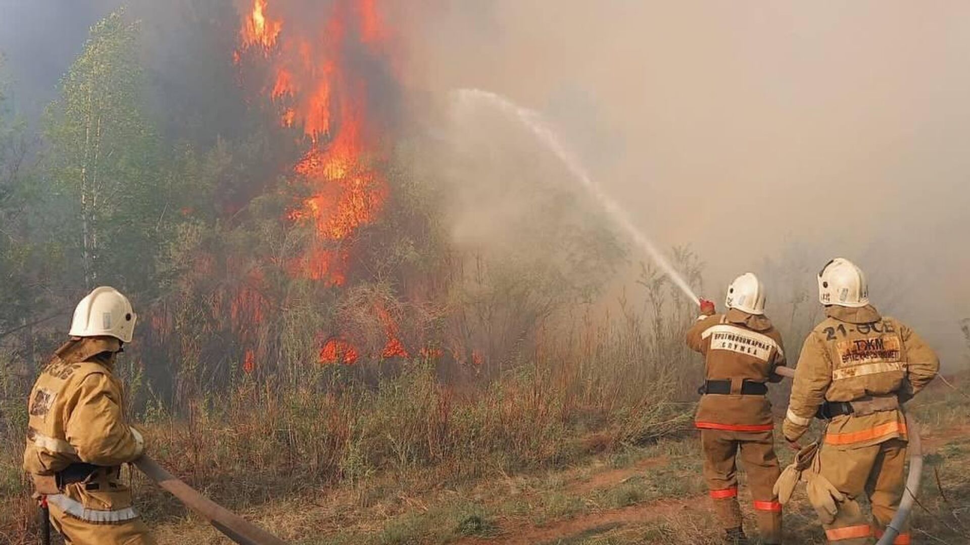Пожароопасный сезон объявлен на территории лесного фонда в СКО