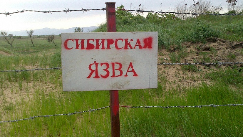 Четыре захоронения сибирской язвы затопило в СКО