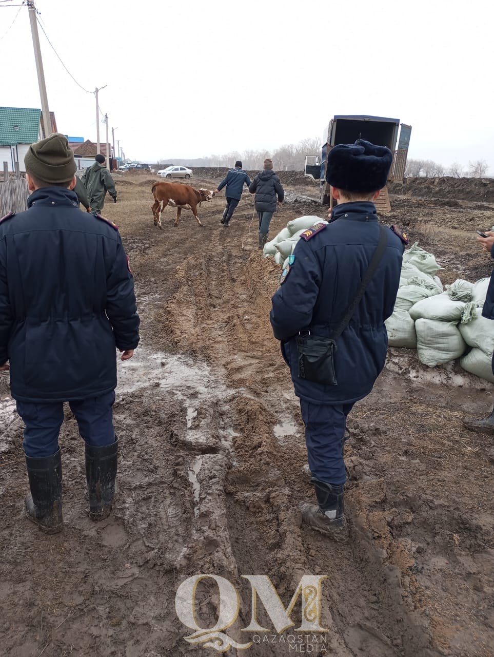Су тасқыны кезінде малынан айырылған тұрғындарға өтемақы төлеу алгоритмі әзірленіп, бекітілді