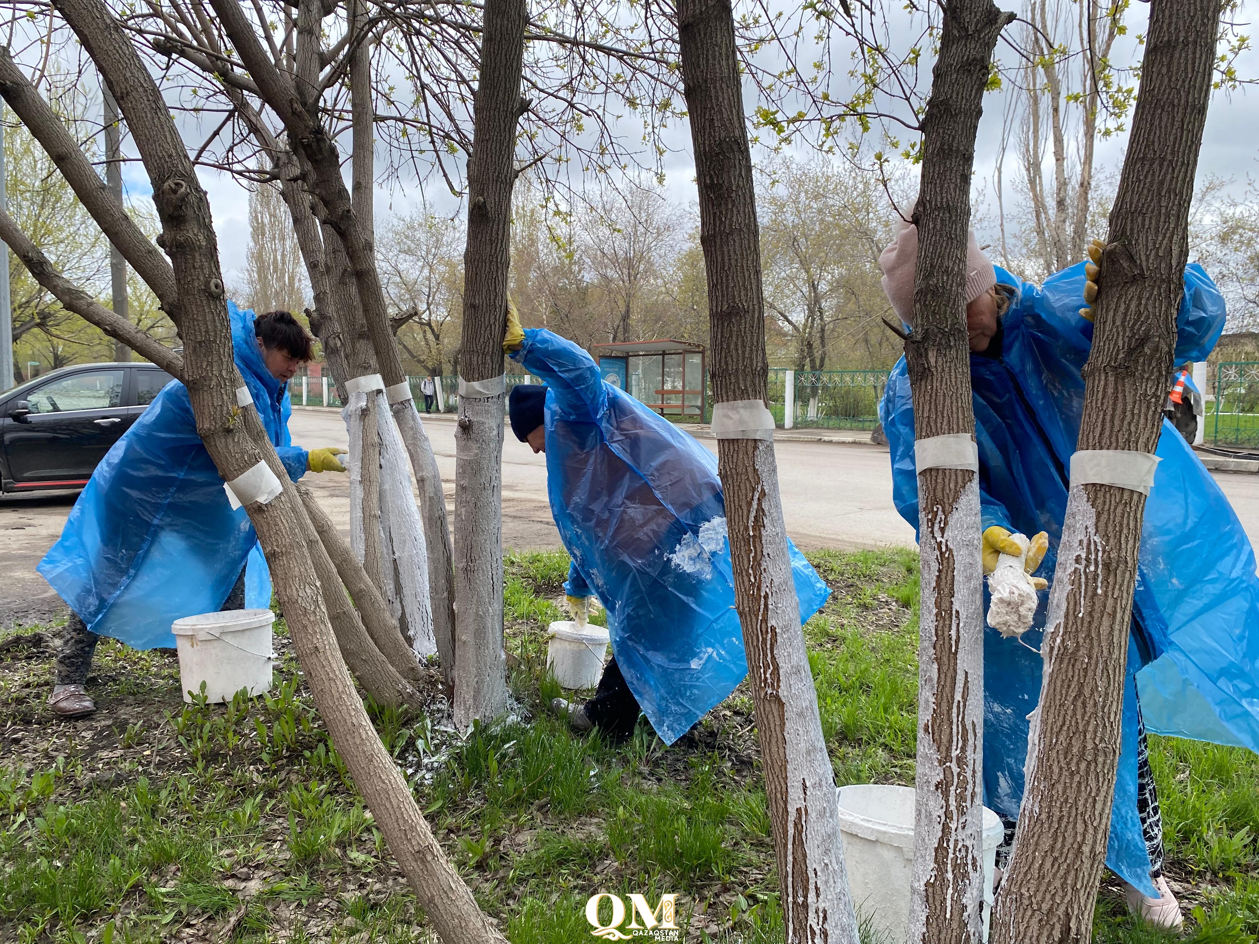 Экологическая акция «Таза Қазақстан» продолжается в Петропавловске