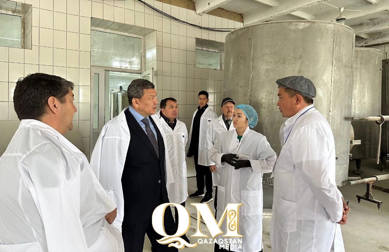 Цех по производству сыров и овощехранилище запустят в Айыртауском районе СКО
