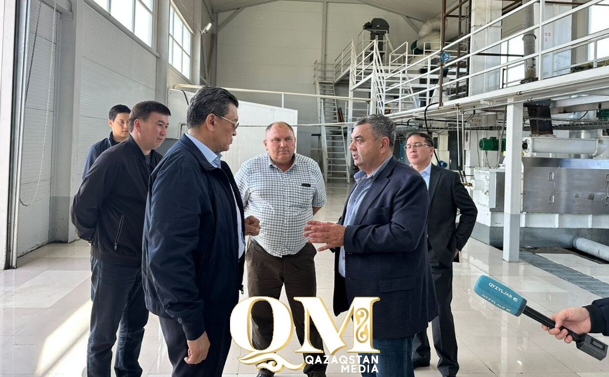 Самую большую молочную ферму Центральной Азии построят в СКО