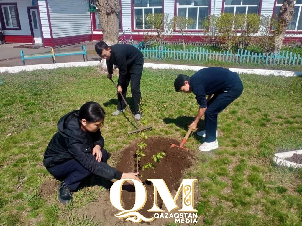 СҚО-да төрт мыңға жуық мектеп түлегі тал екті