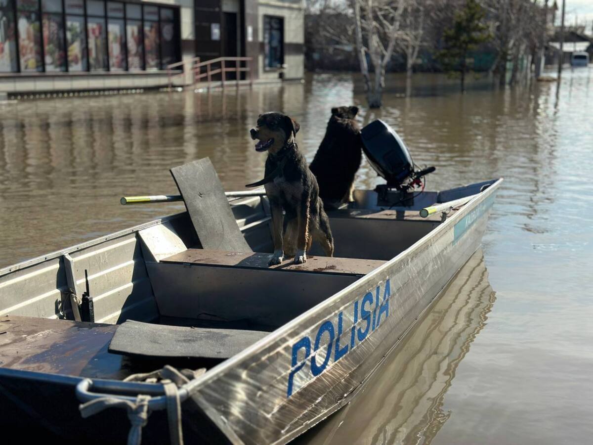 Полицейские СКО поделились воспоминаниями о патрулировании на лодках в паводок