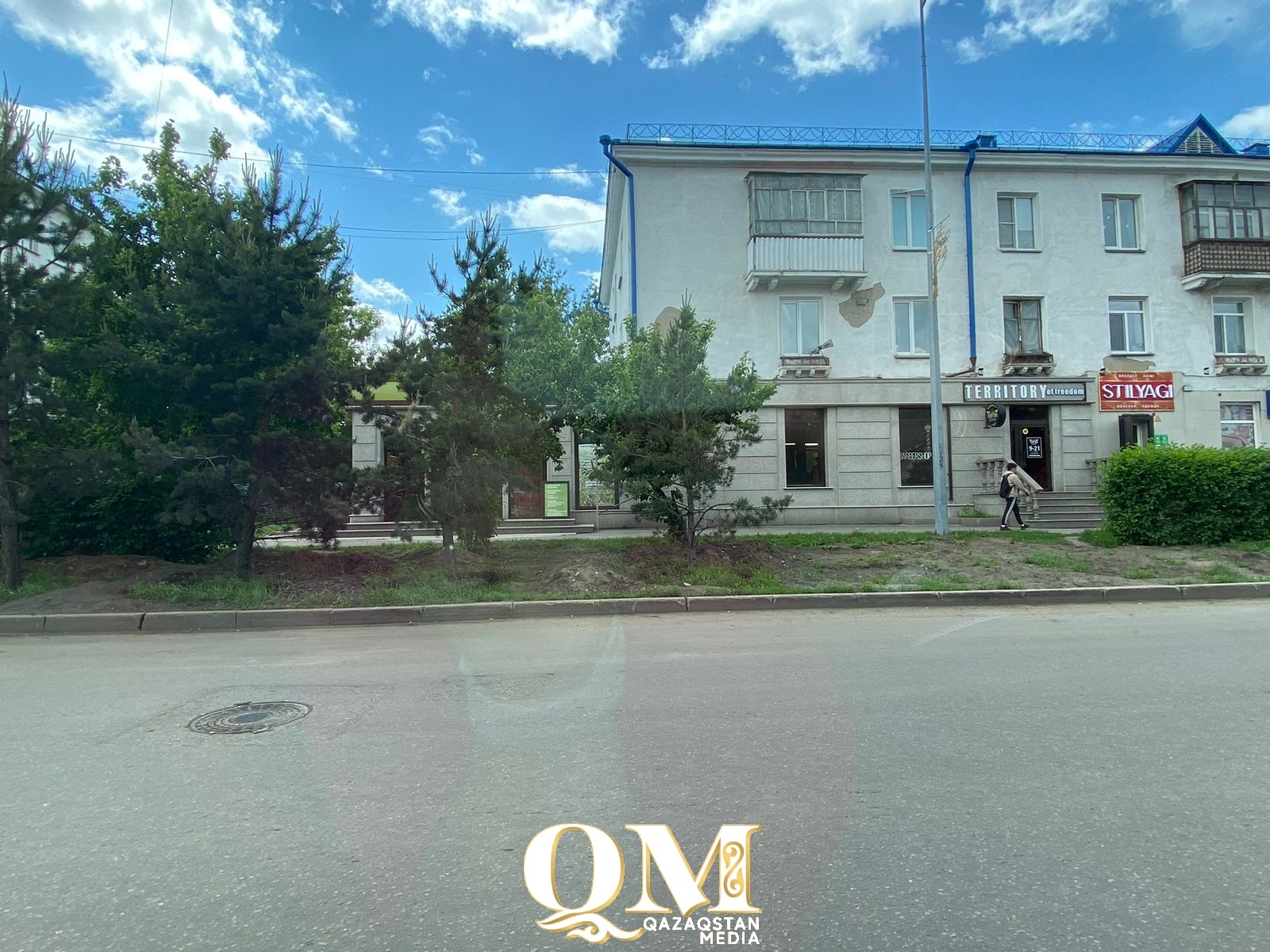 Выкопанные в центре Петропавловска сосны шесть лет назад высаживали с нарушениями