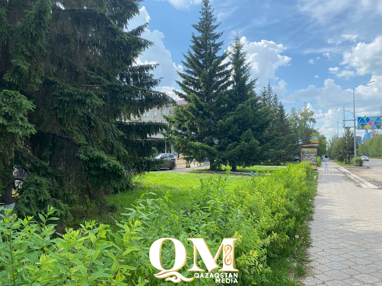 Жаркие выходные с дождем обещают синоптики жителям СКО