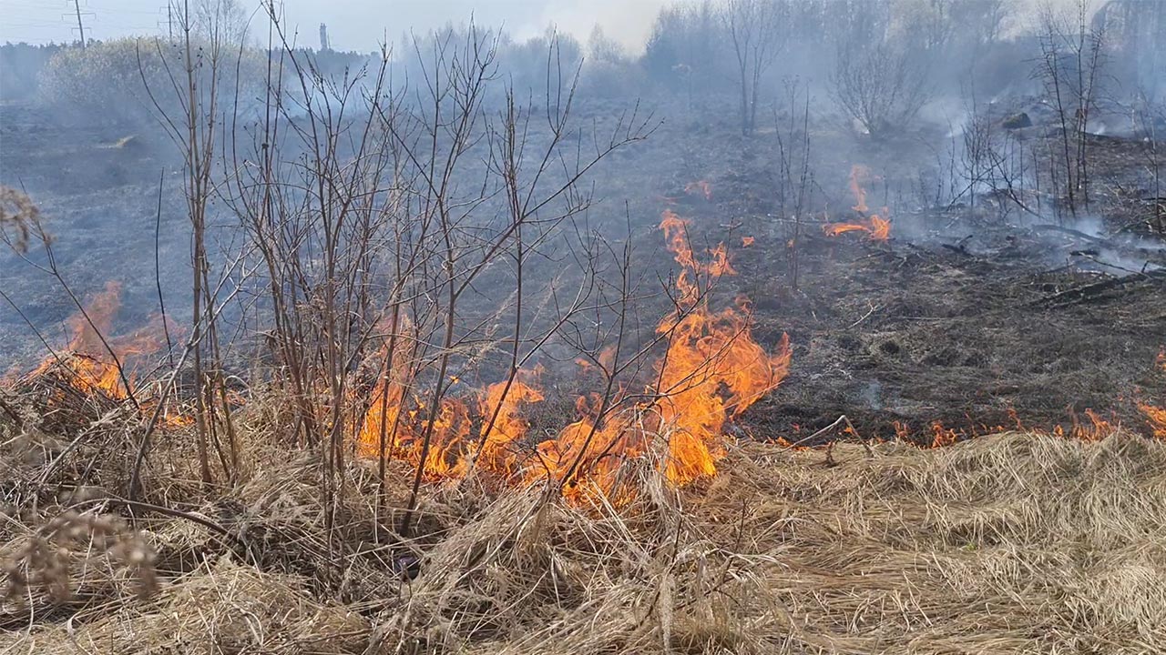Более тысячи пожаров происходит в весенне-летний период в СКО