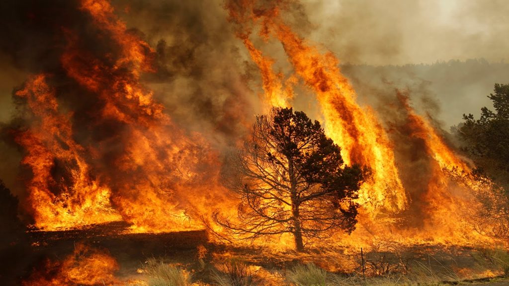 90 % пожаров случаются по вине человека