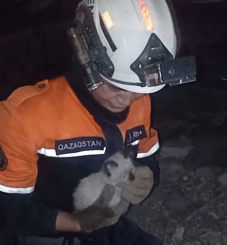 Әдемі бөкселердің сексуалды видеосы Доминация порнографияны көру