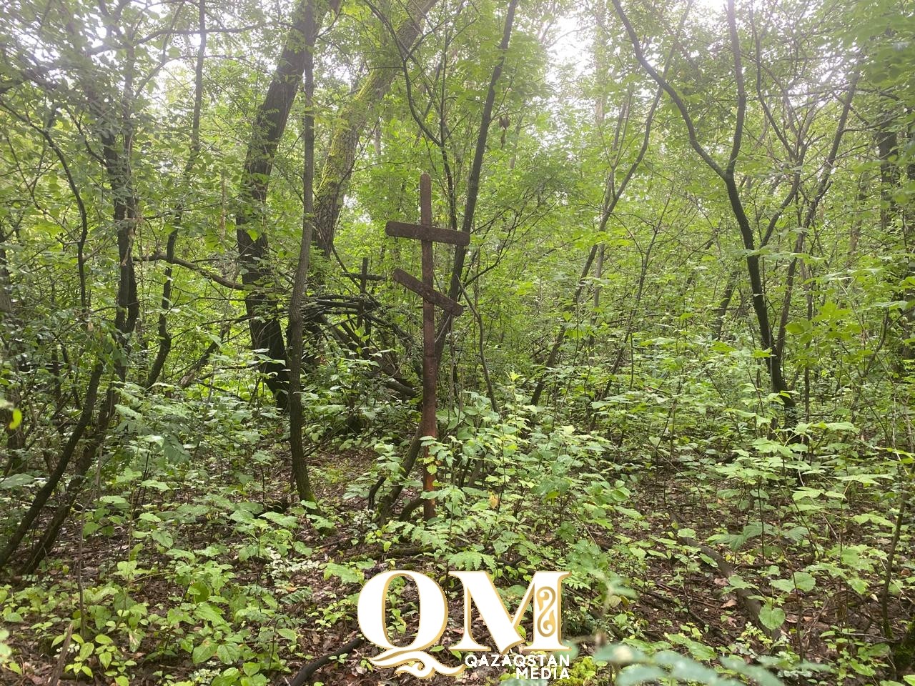 Про сатанистов, монахинь и миллион рублей – в Петропавловске ищут затерянную могилу