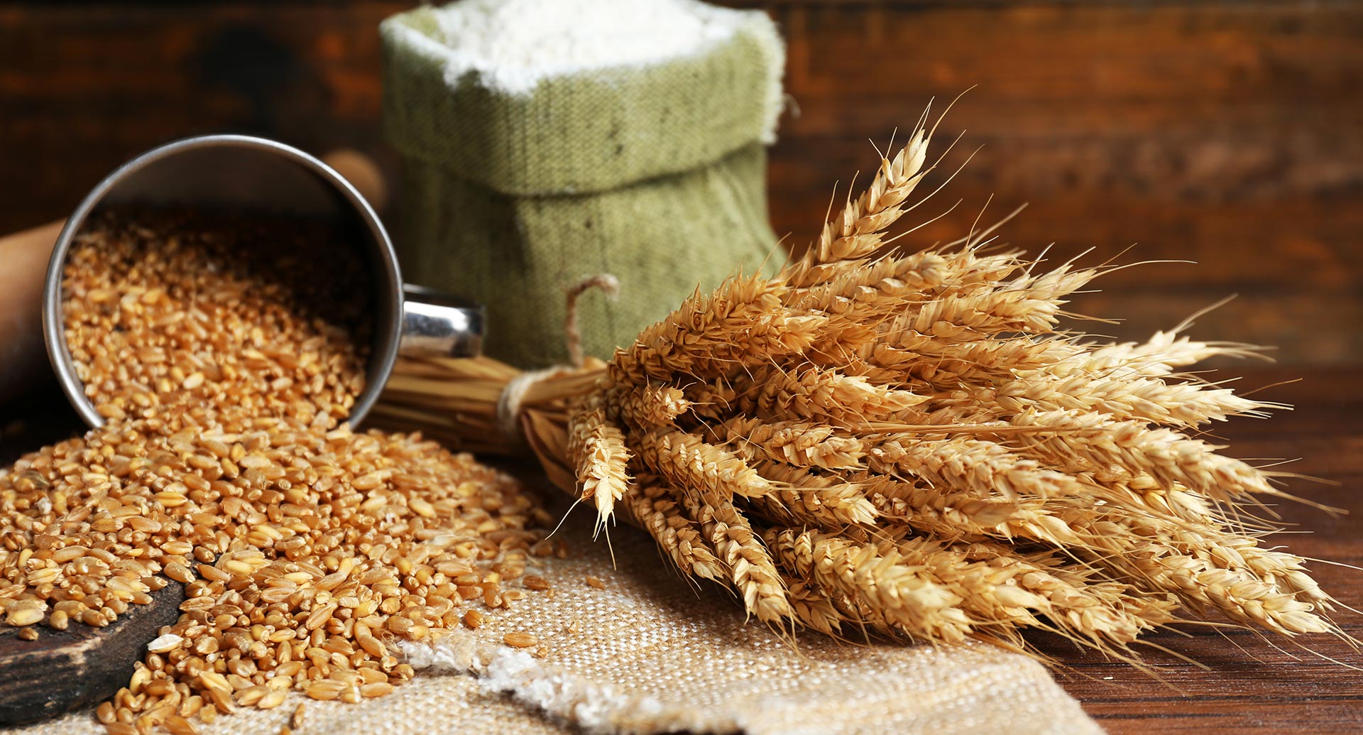 Пшеница и отруби дешевеют: почему зерно из СКО не пользуется спросом?