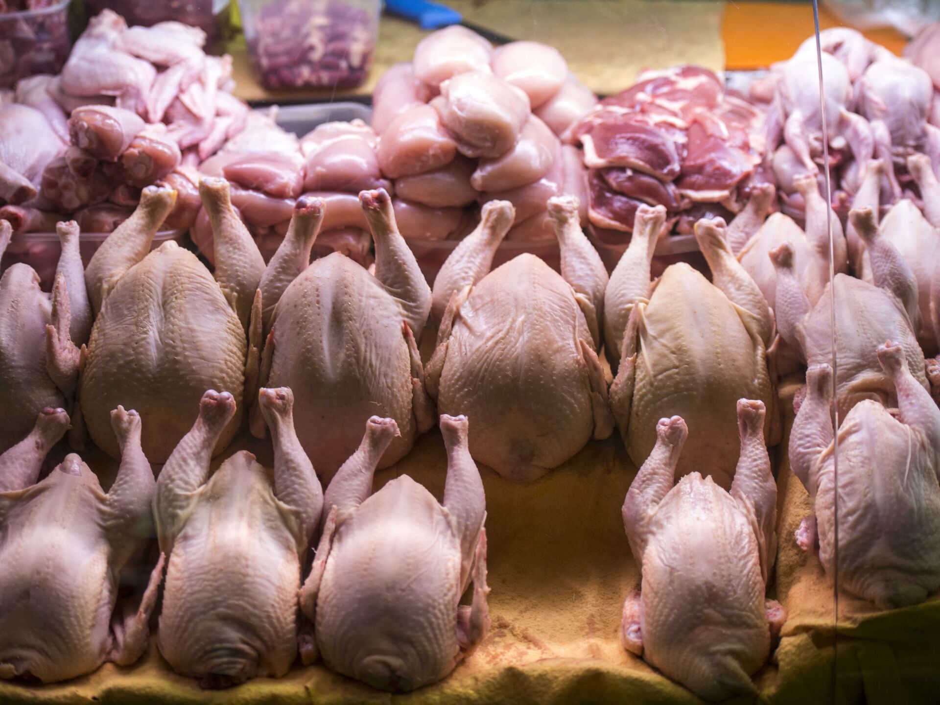 На 15 % ниже рынка: сколько мяса и птицы привезут на ярмарку в Петропавловск