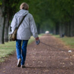 СҚО-да  иттерін дұрыс  серуендетпегендер 5 млн теңгеден астам айыппұл төледі