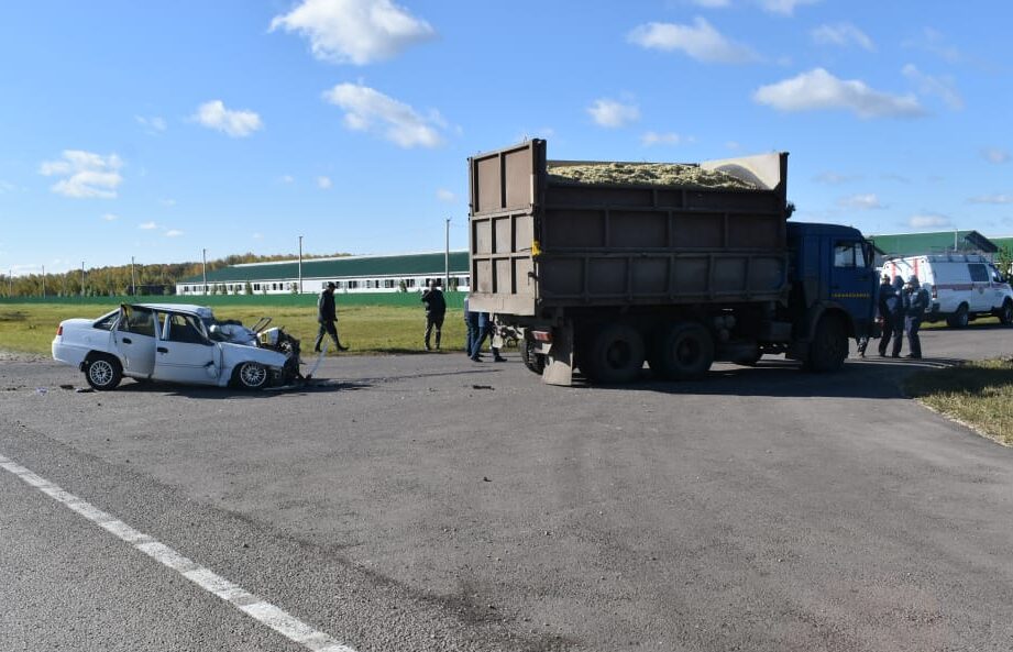 Двое погибли, трое пострадали: КамАЗ столкнулся с легковушкой на трассе в СКО