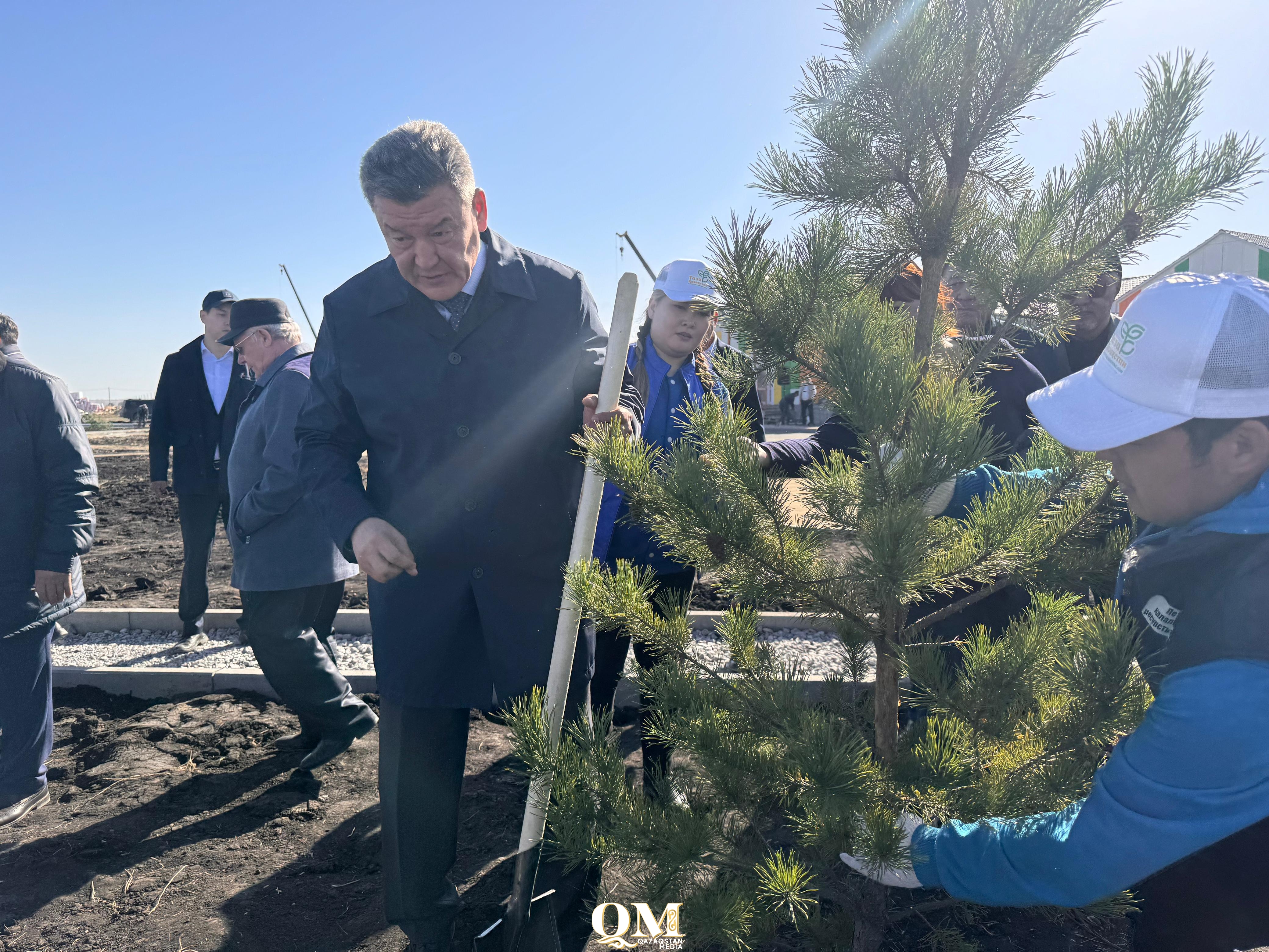 Озеленение началось в новом микрорайоне Бiрлiк Петропавловска