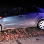 СҚО-да бір түнде үй жануарларының қатысуымен екі бірдей жол-көлік оқиғасы тіркелді 