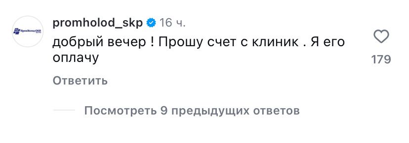 Засунули в ухо петарду: как чувствует себя щенок и что случилось с девочкой из Петропавловска, которая его спасла?