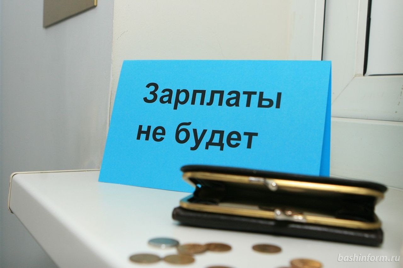 «Задолженности по зарплате нет», – инспекция труда СКО