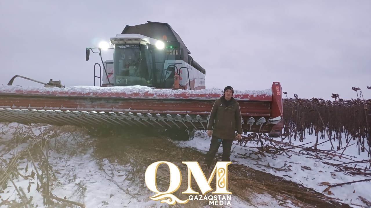 Жамбылдық Дәурен Маратбеков егін орағында үздік көрсеткішке қол жеткізді