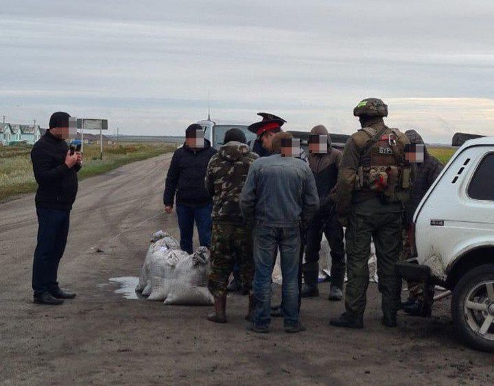 За незаконную добычу рачка осудили шестерых жителей СКО