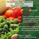 25 видов продукции привезут на сельскохозяйственную ярмарку в Петропавловск