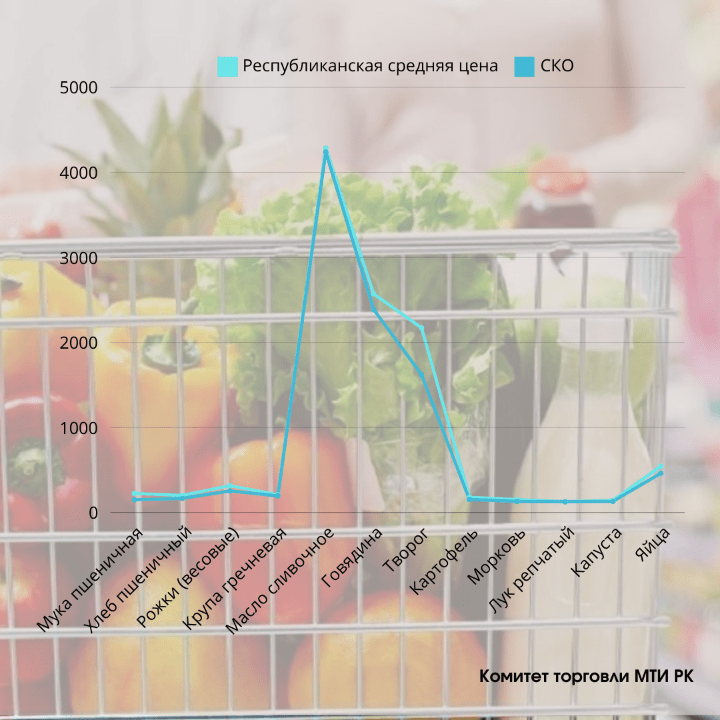 Регион с самыми низкими ценами на продукты в Казахстане - СКО