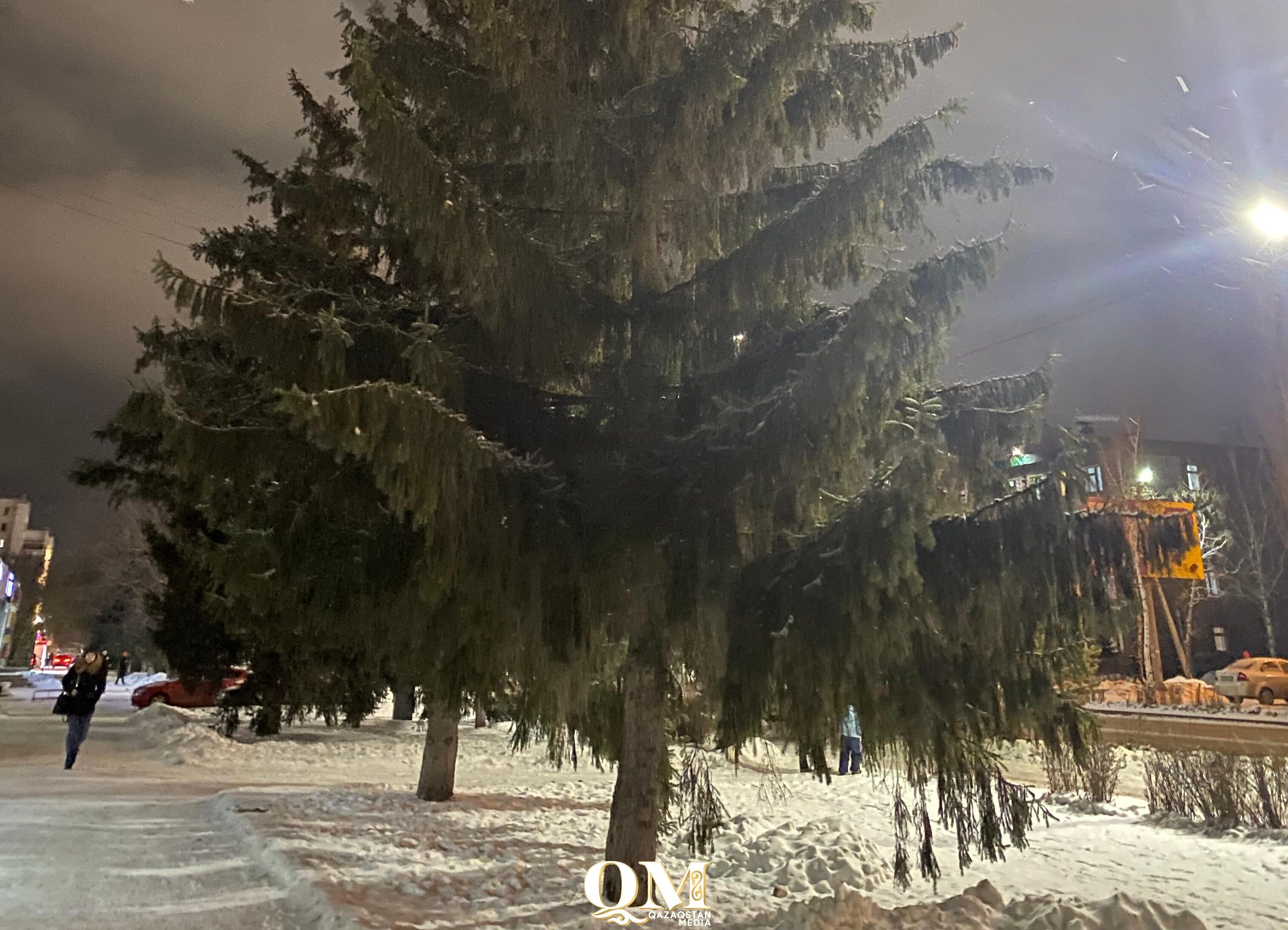 Метель и усиление ветра: какой будет погода 10 декабря в Петропавловске?