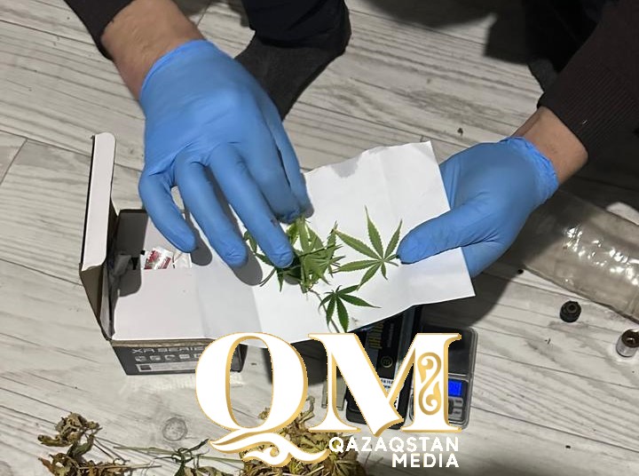 Петропавлдың бес тұрғыны үйлерінде қарасора өсірген