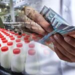 Сүт өндірісінің орнына Toyota Land Cruiser Prado: СҚО-да фермер субсидияны заңсыз иемденіп келген