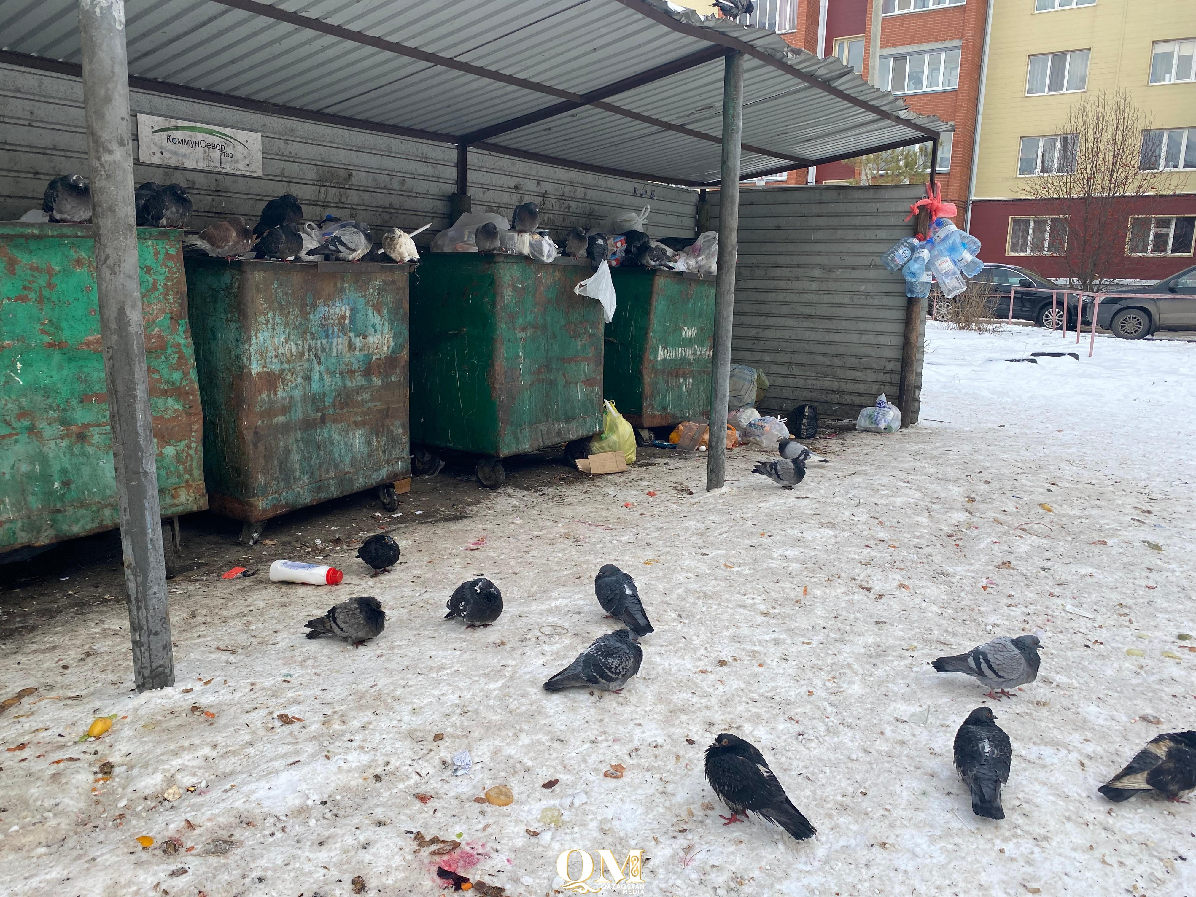 Петропавл ластанып барады - СҚО әкімі