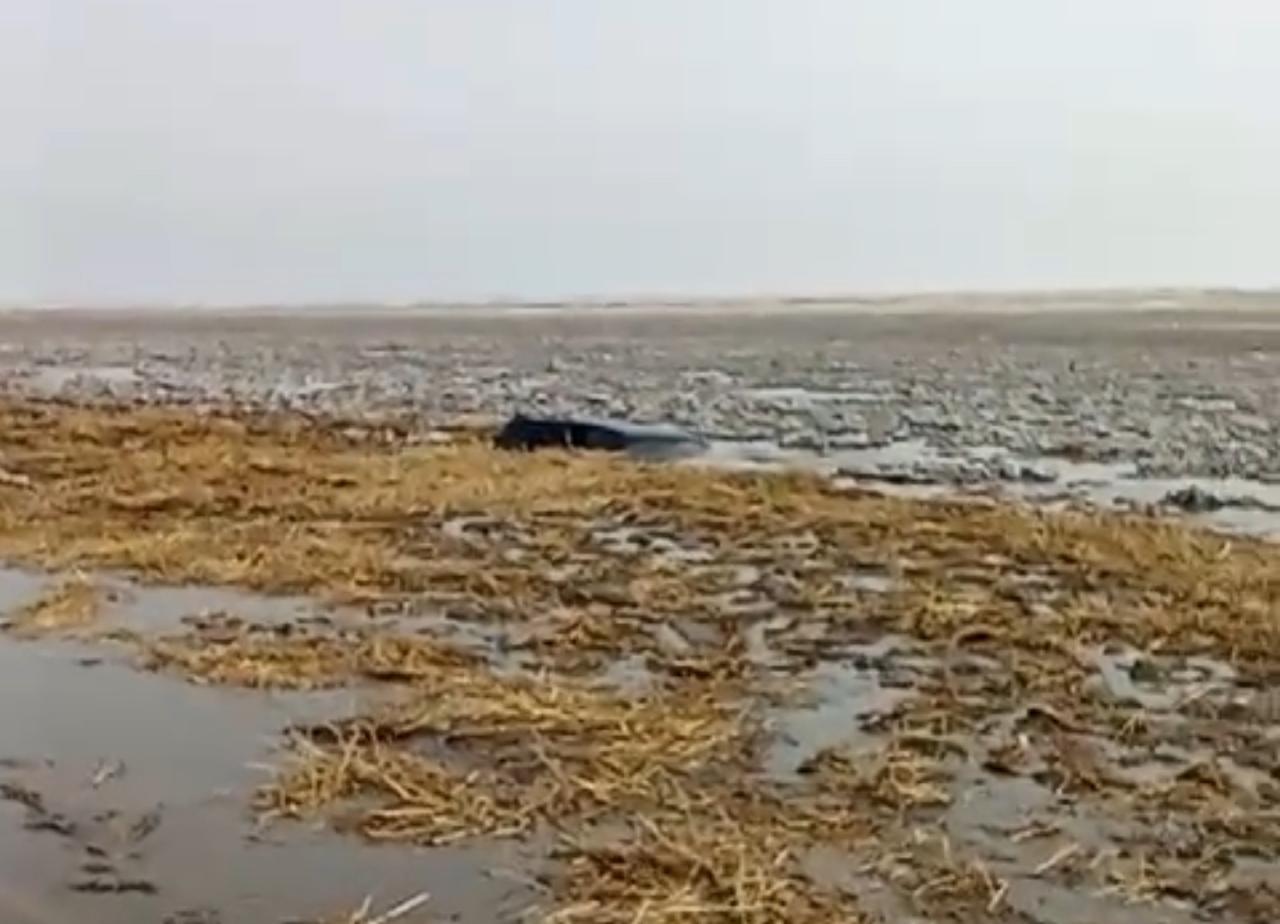 Вода разошлась! Машина «уплыла» с трассы в СКО