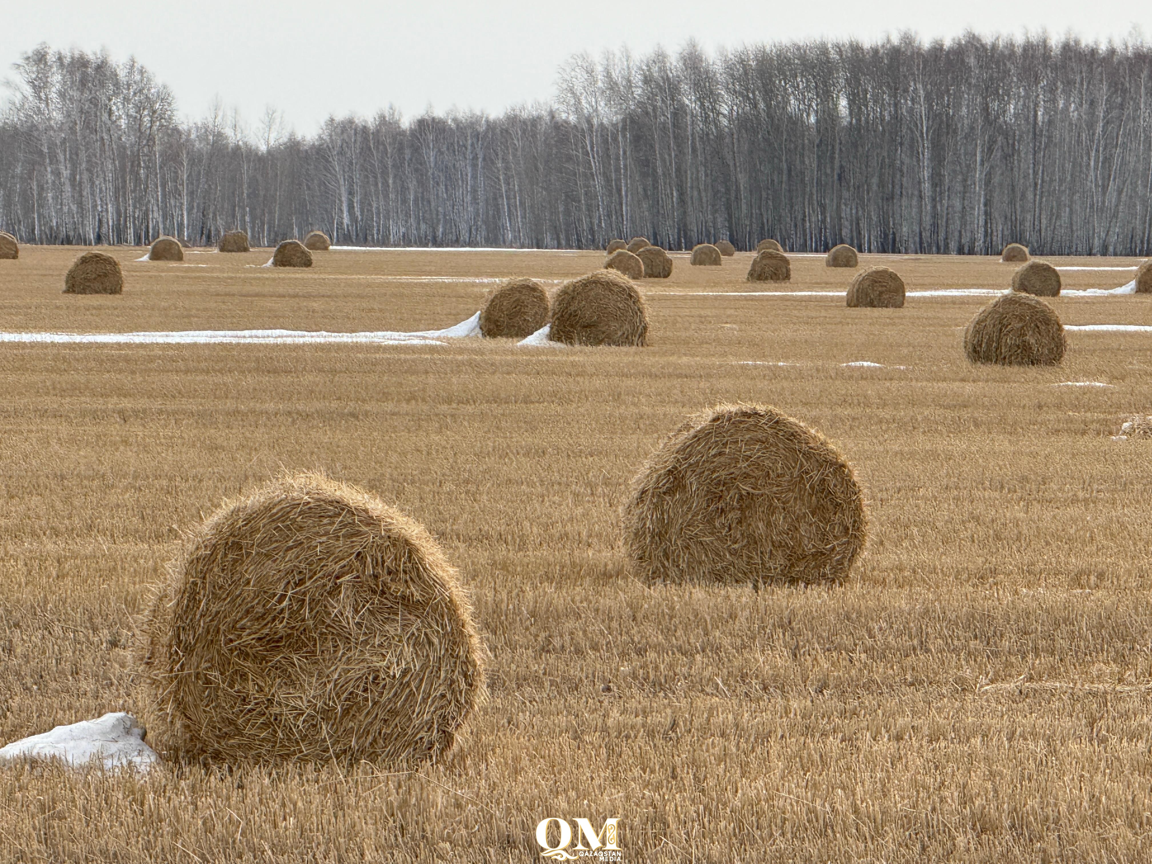 Работников крестьянского хозяйств искали спасатели в СКО