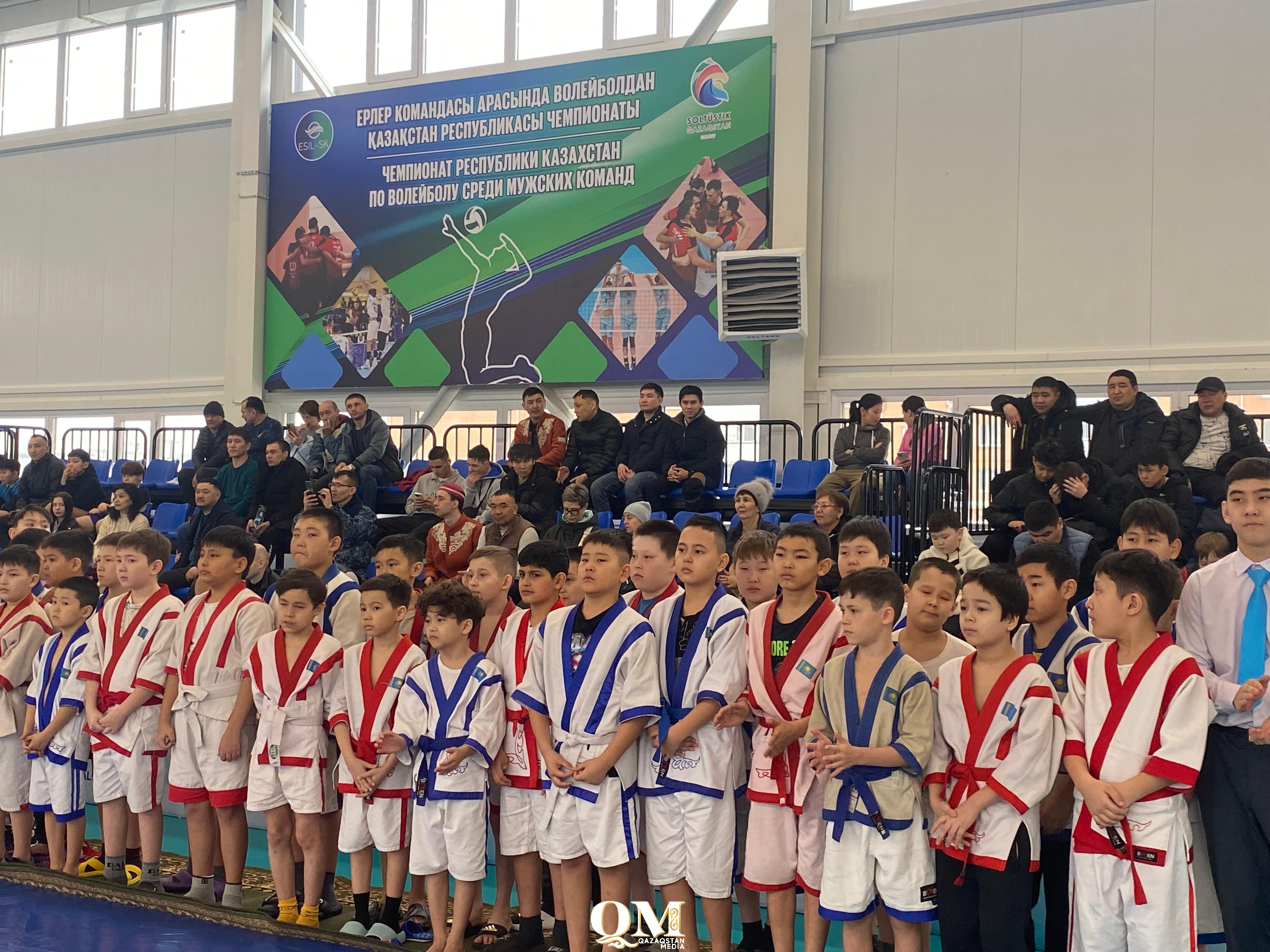 Борьба, гибкость ума и казахская борзая – как в Петропавловске отметили день спорта