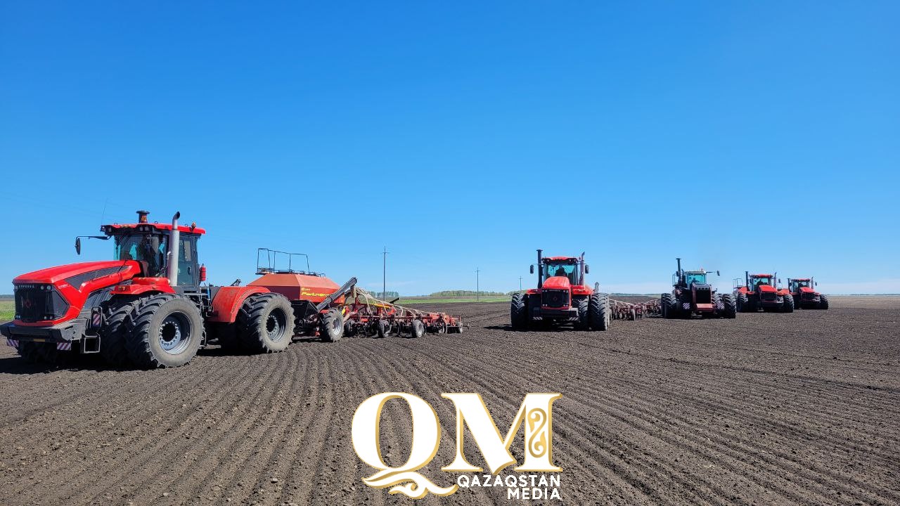 Уәлихандық шаруалар 242 мың гектардан астам жерге дән себеді