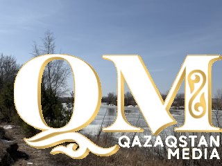 Солтүстік Қазақстанда бір апта ішінде 11 адамды кене шаққан