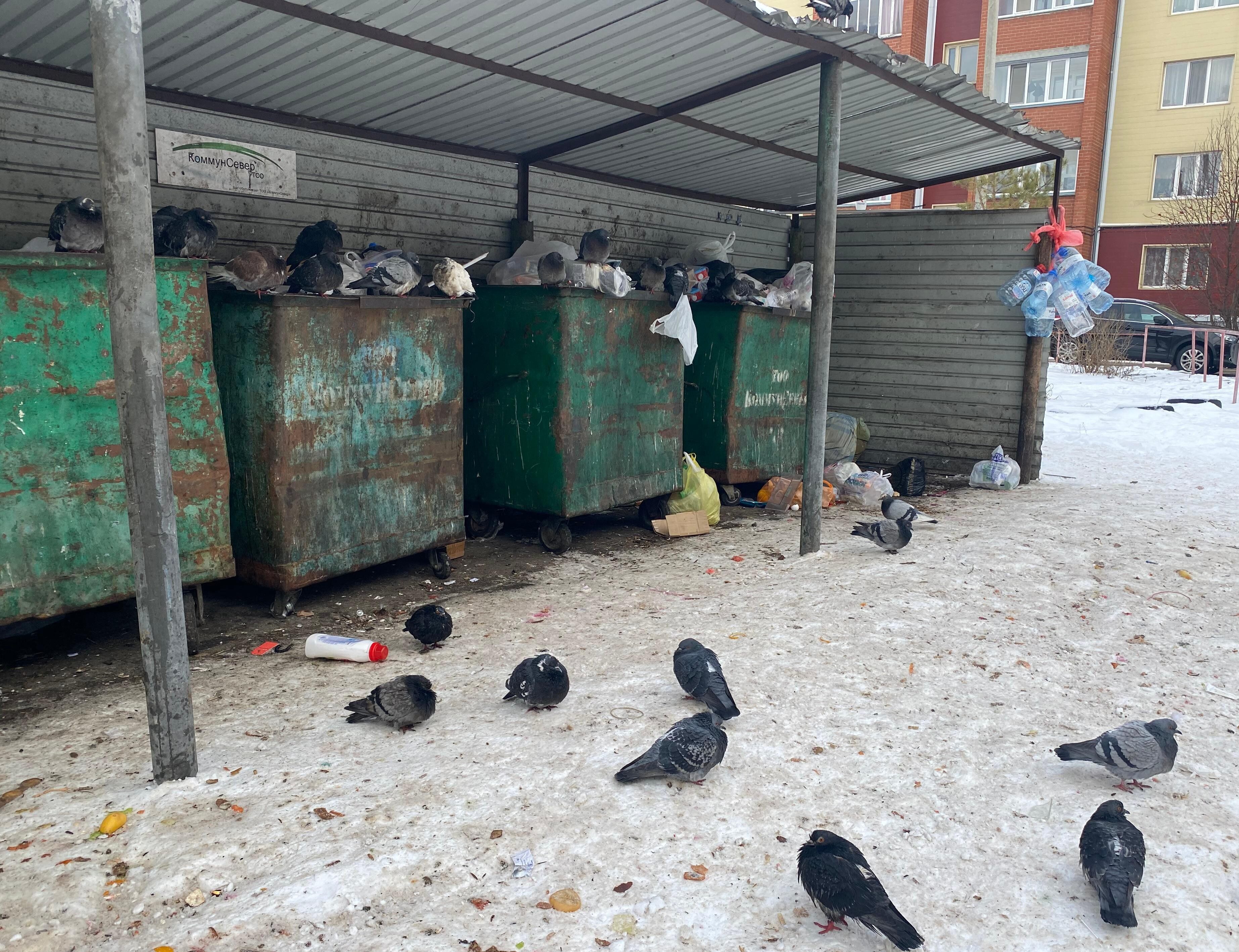 Тарифы на вывоз мусора завышали в СКО