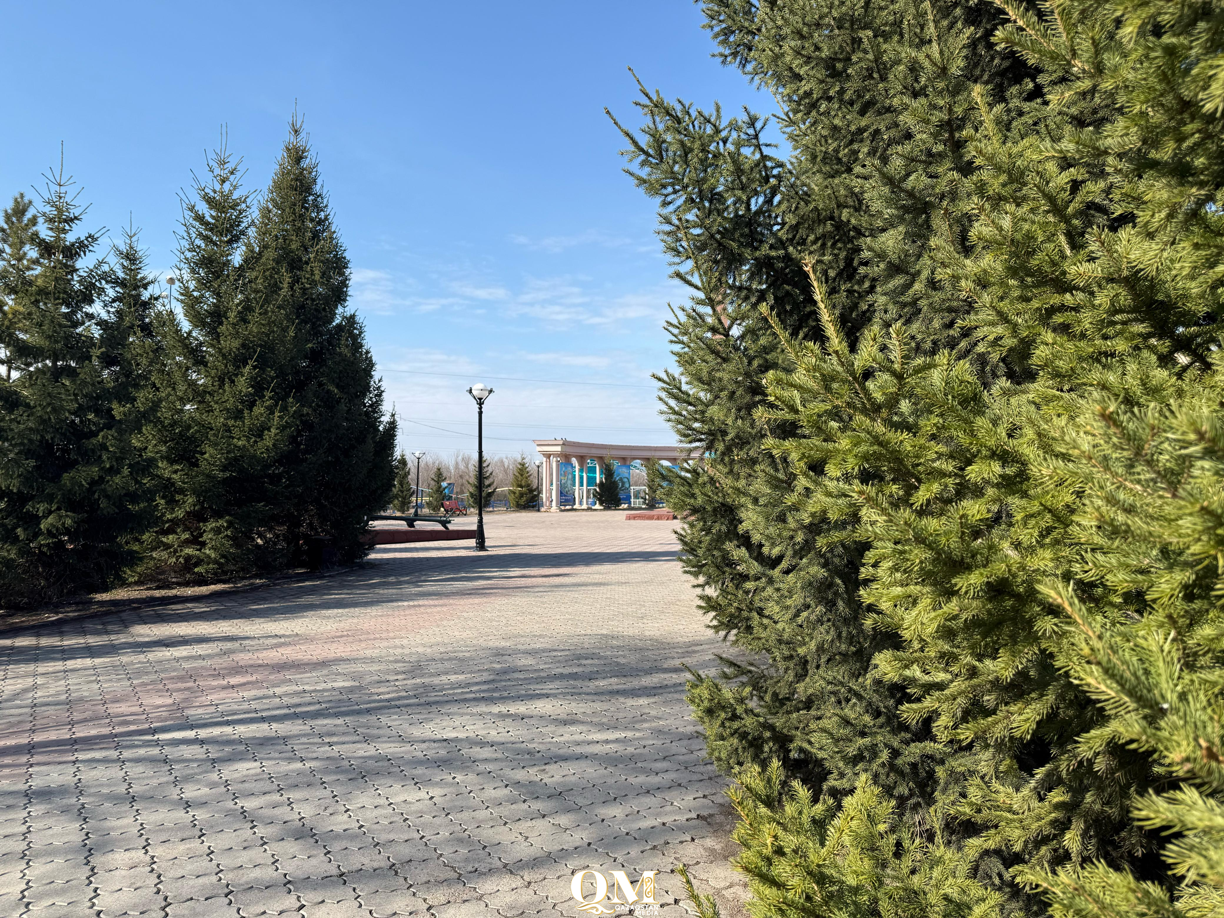 С начала апреля 11 североказахстанцев пострадали от укусов клещей