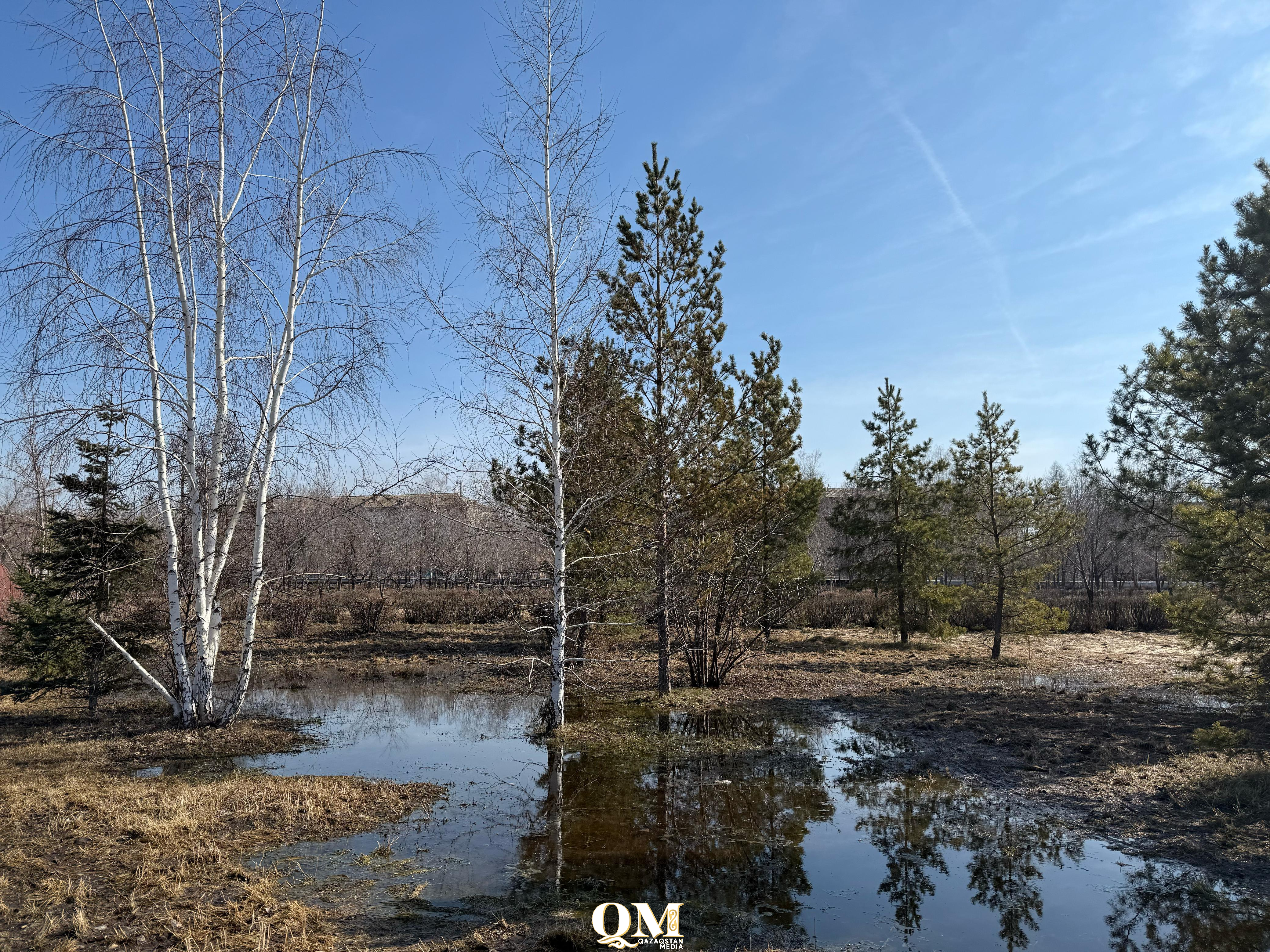 Ласковый май – какой будет погода в СКО в последний месяц весны
