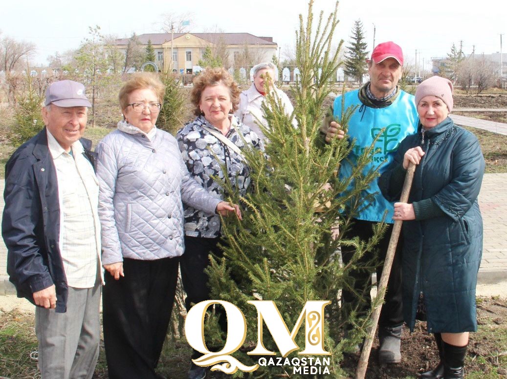 Сибирские ели высадили в селе на севере Казахстана