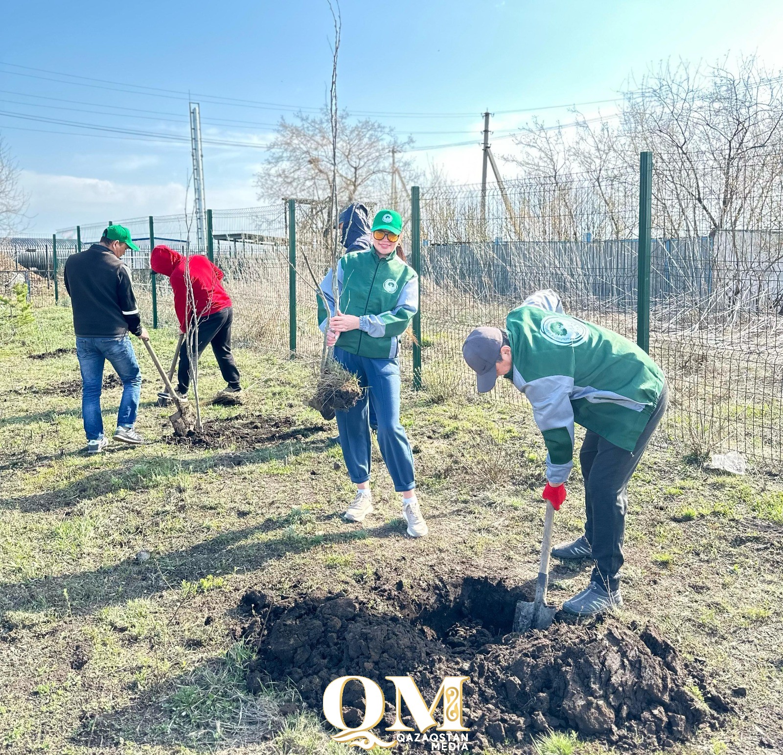 СҚО-да Уәлиханов ауданы Кішкенекөлге 150 терек отырғызылды