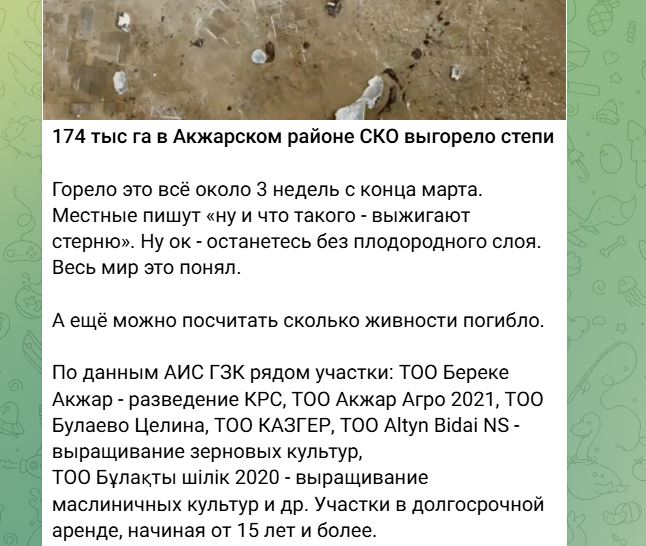  «Плодородность почвы не нарушена» - степные пожары прокомментировали в ДЧС СКО