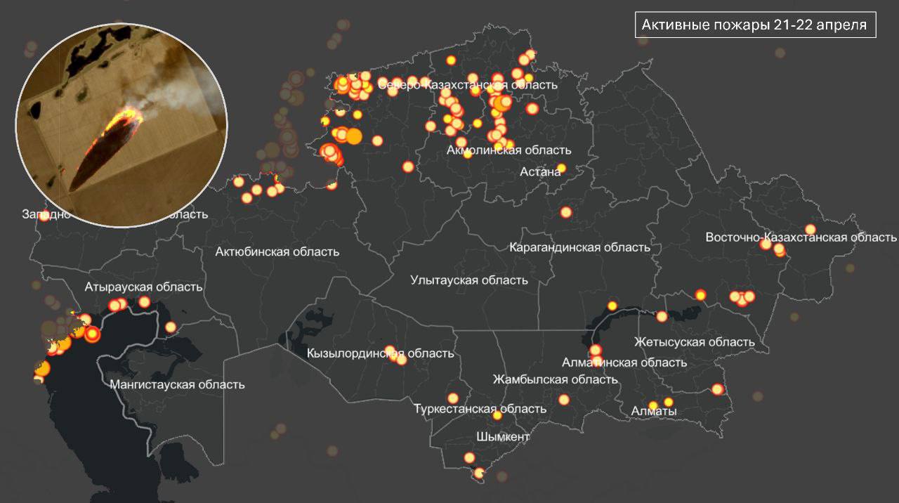 «Плодородность почвы не нарушена» - степные пожары прокомментировали в ДЧС СКО
