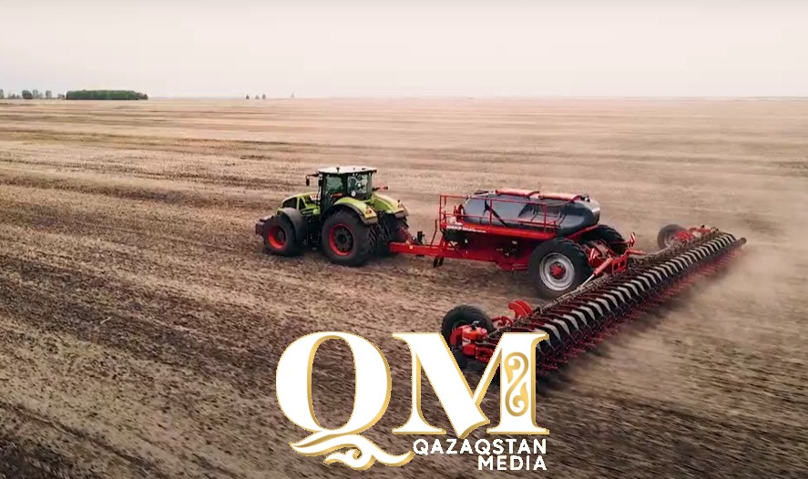 Посевная-2025: площадь масличных увеличили в СКО