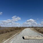 Гулять прямо по дамбе — новую зону отдыха хотят открыть в Петропавловске