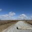 Гулять прямо по дамбе - новую зону отдыха хотят открыть в Петропавловске