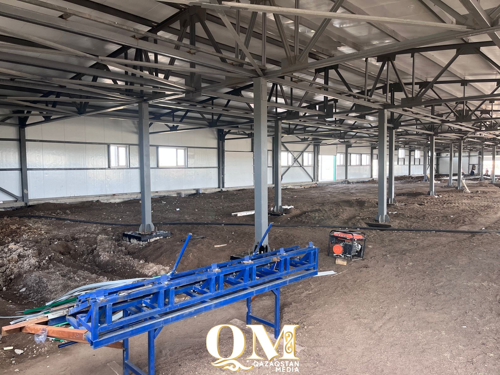 Сухое кобылье молоко будут производить в СКО